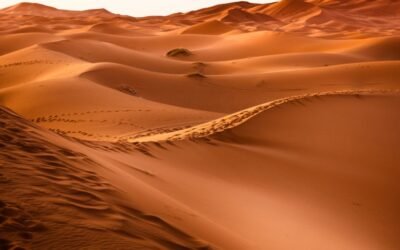 La vida laboral no es lineal, a veces da miedo, y eso está bien